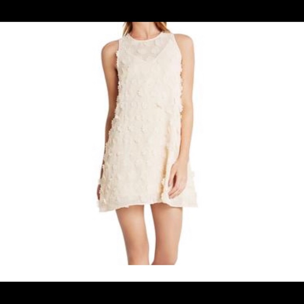 BCBG Dress
